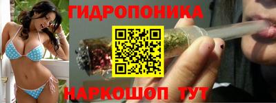 бошки Можга