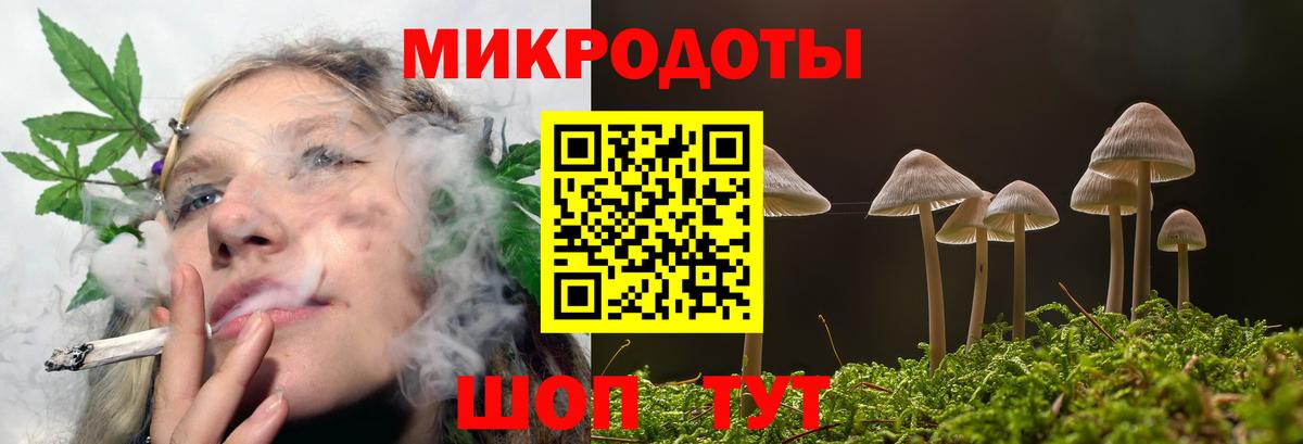Галлюциногенные грибы MAGIC MUSHROOMS  Вход с VPN  Якутск 