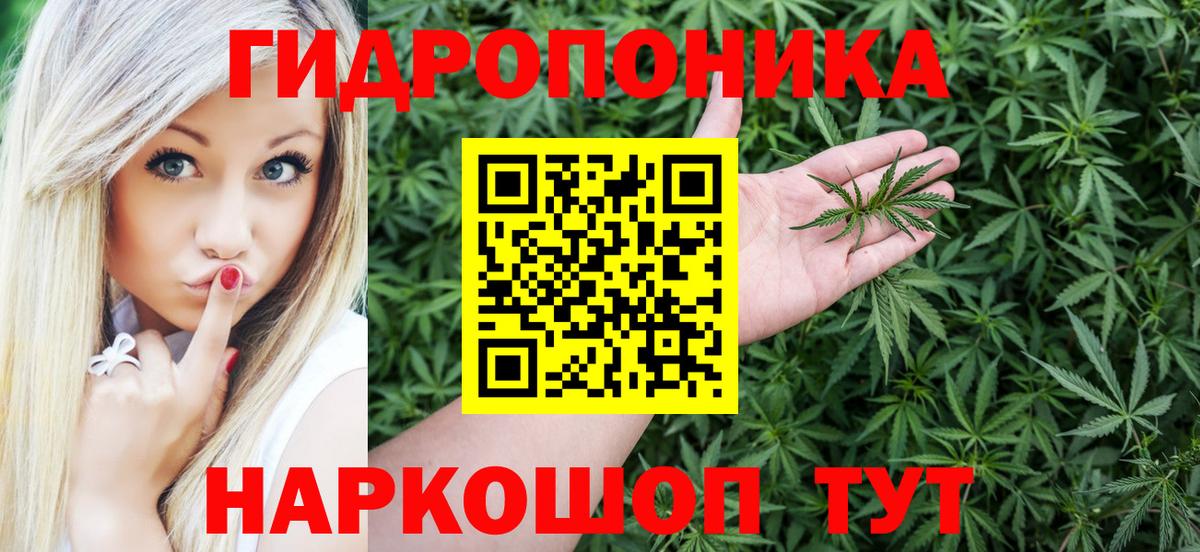 Якутск  Бошки марихуана VHQ  Марихуана ГИДРОПОН  Вход с VPN  МАРИХУАНА сатива  Марихуана VHQ 